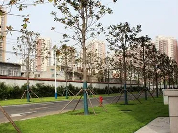 市政绿化工程