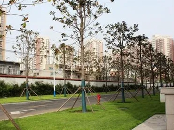 市政绿化工程